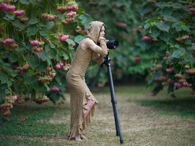 王者荣耀巅峰赛